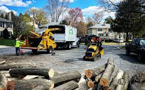 Best Pest Control for Lawns  in Sandersville, GA