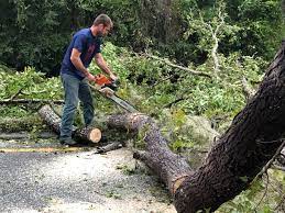 Best Seasonal Cleanup (Spring/Fall)  in Sandersville, GA